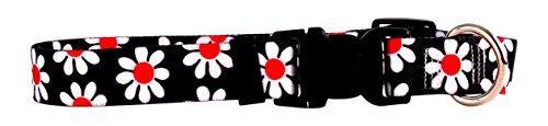 Yellow Dog Design Daisy Dog Collar