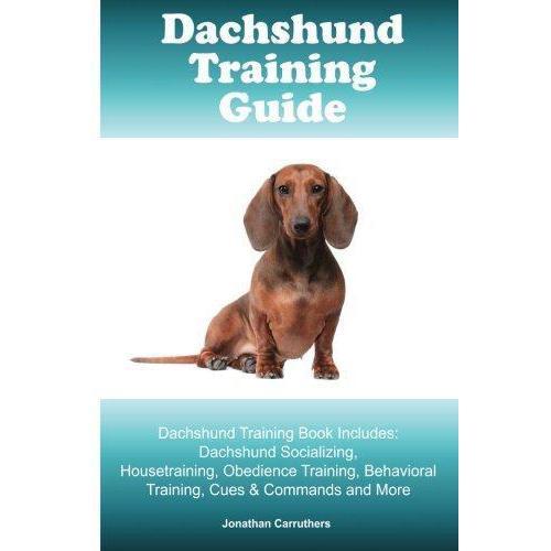 Dachshund Training Guide