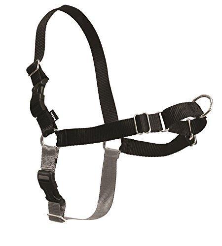 Easy Walk Harness