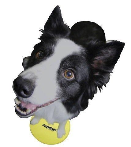 FitPAWS Targets