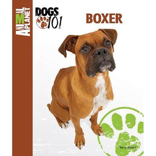 Boxer 101