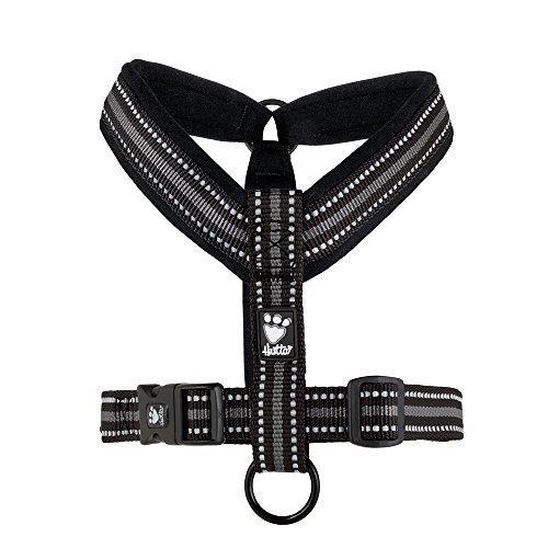 Hurtta Padded Dog Y-Harness 2