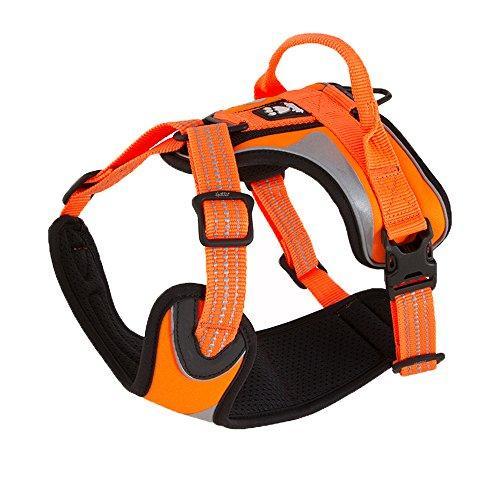 Hurtta Hi-Viz Active Dog Harness