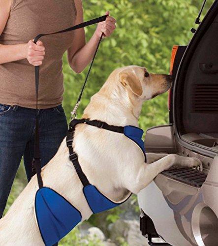 Lift & Lead 4-In-1 Dog Harness