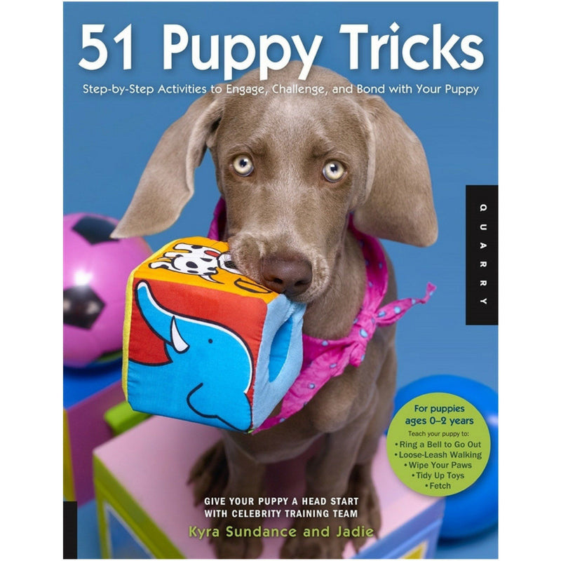 51 Puppy Tricks