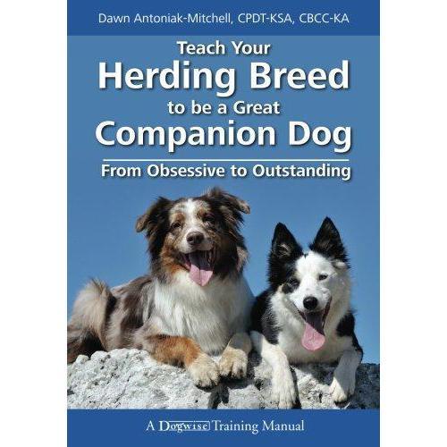 Teach Your Herding Breed to Be a Great Companion Dog, from Obsessive to Outstanding