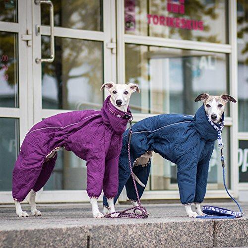 Hurtta Casual Quilted Overall Dog Coat