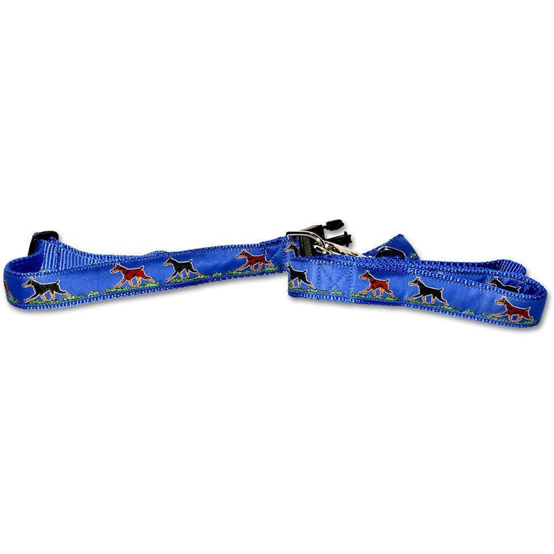 Doberman Collar and Leash Set