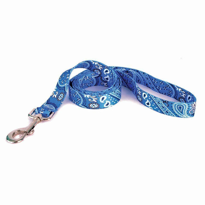 Bandana Blue Lead