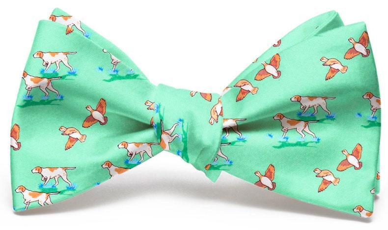 German Shorthaired Pointer Quail Hunt Bow Tie