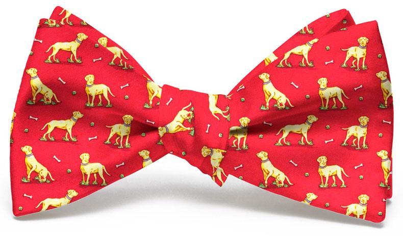 Labrador Retriever Bow Tie