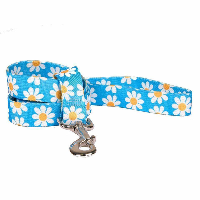 Blue Daisy Lead
