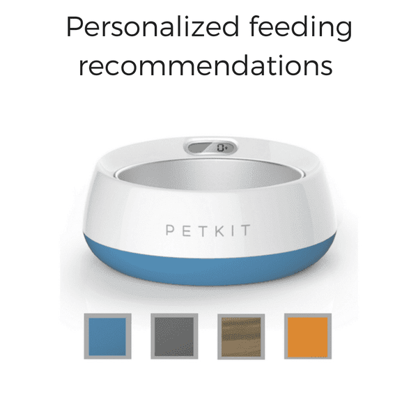 Machine Washable Digital Feeding Dog Bowl