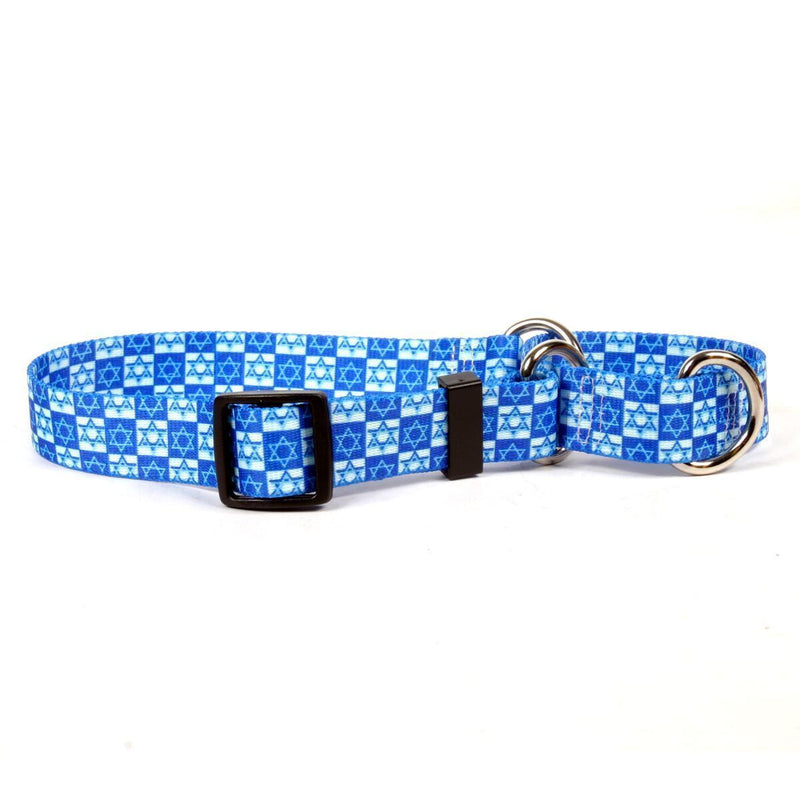 Hanukkah Stars Martingale Collar