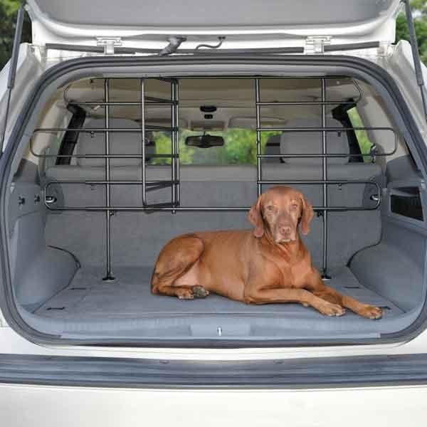 Vehicle Barrier with Doors