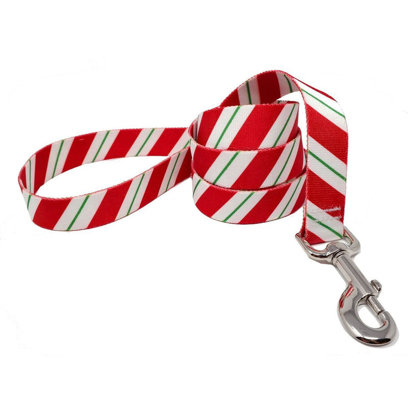 Peppermint Stick Lead