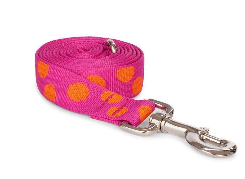 Nylon Polka Dot Dog Leash