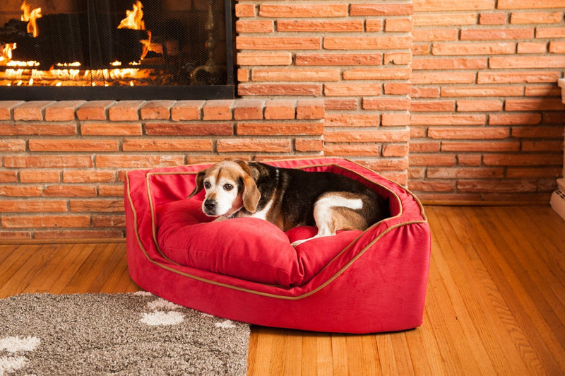 Corner Dog Bed