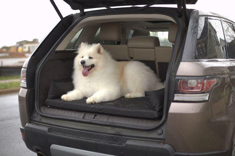 SUV Cargo Dog Bed