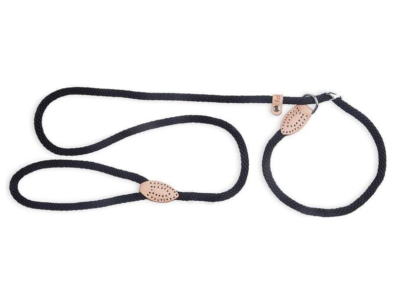 Slip Rope Dog Lead