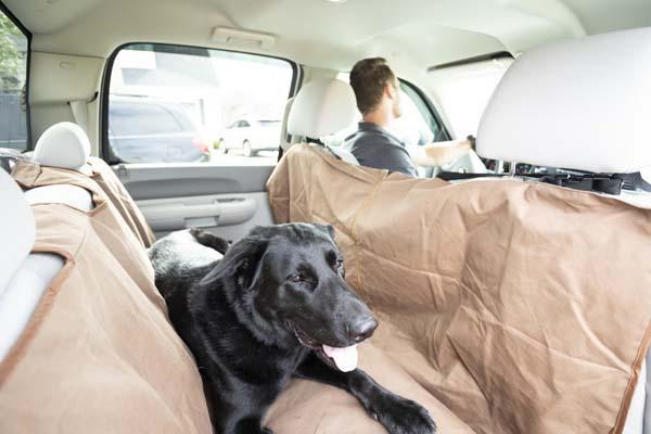 Heavy Duty Reversible Car Hammock