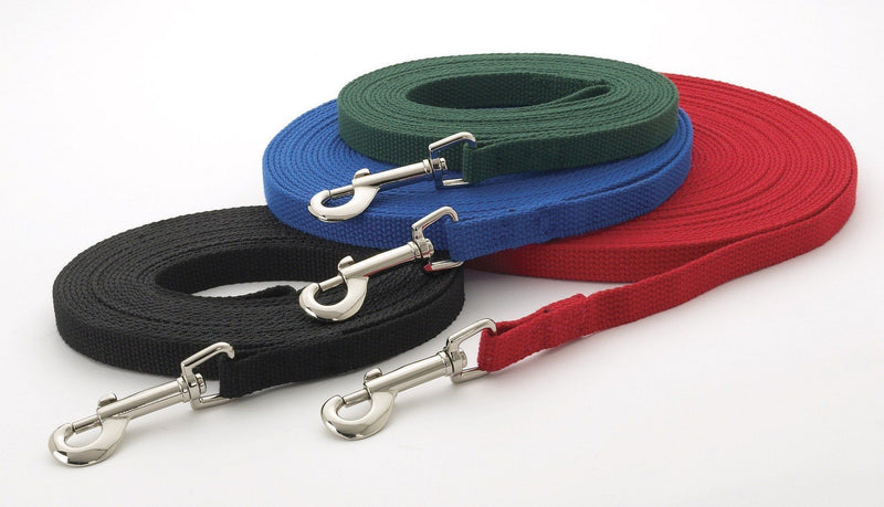 Cotton Web Training Lead