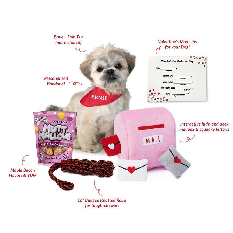 Valentine's Day Gift Box