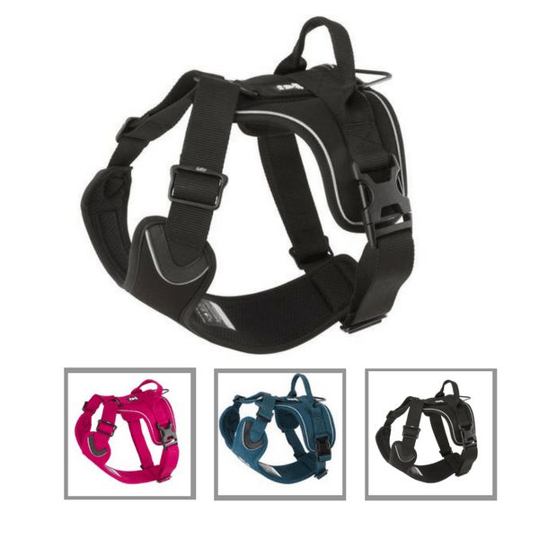 Active Harness