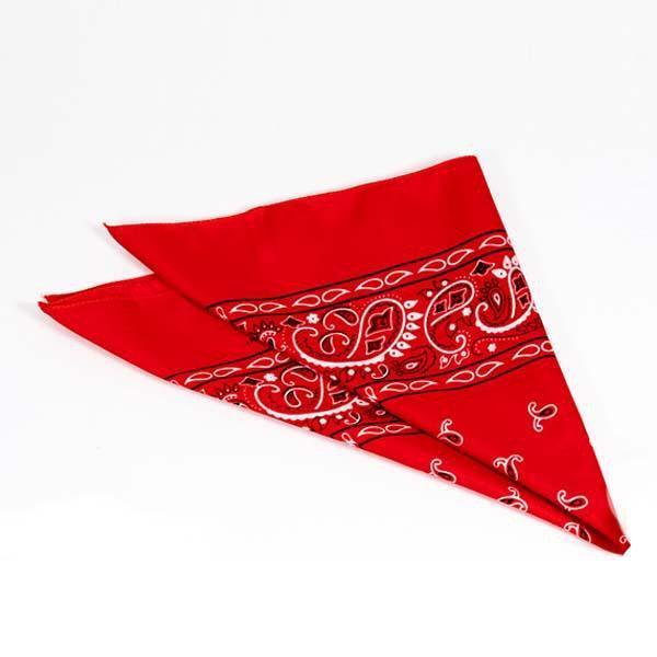 Red Paisley Dog Bandana
