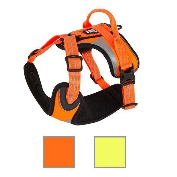 Hi-Viz Active Harness