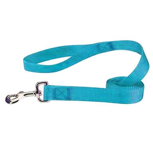 Colorful Nylon Dog Leash