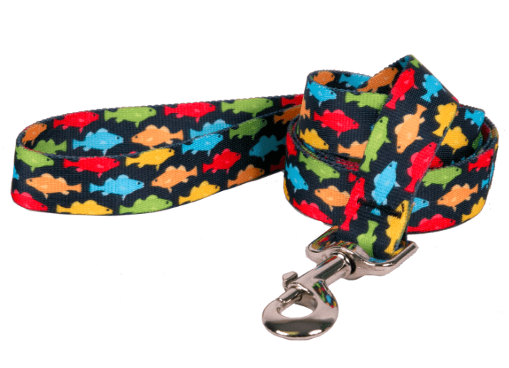 Rainbow Fish Black Lead