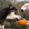 KONG H2O Stainless Steel Dog Water Bottle