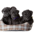 AKC Marketplace for Breeders
