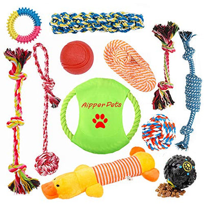Puppy Toys Bundle
