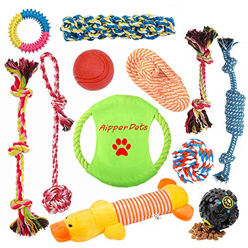 Puppy Toys Bundle