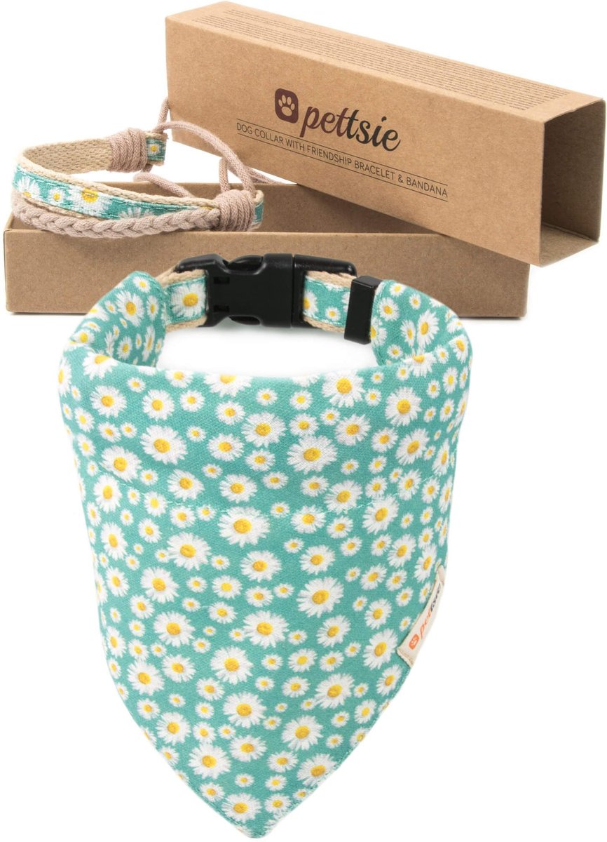 Pettsie Dog Collar Daisy & Bandana