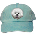 Embroidered Baseball Caps Turquoise  Bichon Frise DM406