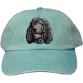 Embroidered Baseball Caps Turquoise  Irish Water Spaniel D145
