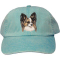 Embroidered Baseball Caps Turquoise  Papillon DV463