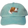 Embroidered Baseball Caps Turquoise  Pointer DV465