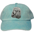 Embroidered Baseball Caps Turquoise  Poodle DM450