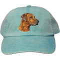 Embroidered Baseball Caps Turquoise  Rhodesian Ridgeback DN297