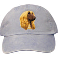 Embroidered Baseball Caps Light Blue  Afghan Hound D42