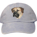 Embroidered Baseball Caps Light Blue  Boerboel DV209