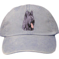 Embroidered Baseball Caps Light Blue  Briard D72