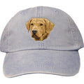 Embroidered Baseball Caps Light Blue  Chesapeake Bay Retriever D143