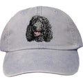 Embroidered Baseball Caps Light Blue  Irish Water Spaniel D145