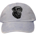 Embroidered Baseball Caps Light Blue  Labrador Retriever DM248