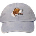 Embroidered Baseball Caps Light Blue  Pointer DV465